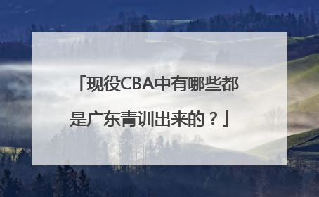 现役CBA中有哪些都是广东青训出来的？