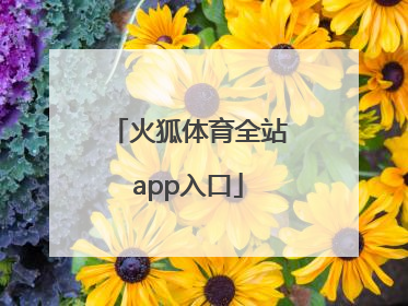 「火狐体育全站app入口」火狐体育全站app官网下载