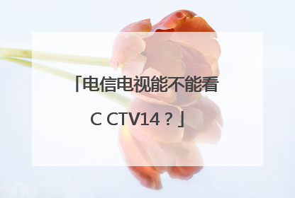 电信电视能不能看C CTV14？