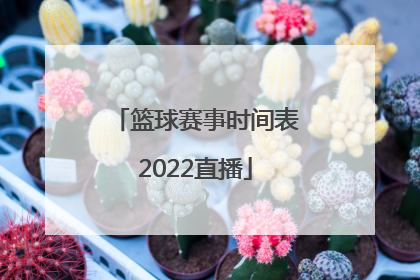 「篮球赛事时间表2022直播」2022北京篮球赛事时间表