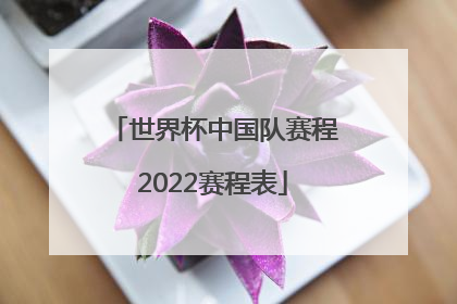 「世界杯中国队赛程2022赛程表」篮球世界杯中国队赛程2022赛程表