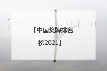 「中国奖牌排名榜2021」中国奖牌排名榜2021最新