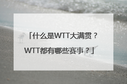 什么是WTT大满贯？WTT都有哪些赛事？