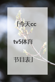 「今天cctv5体育节目表」cctv体育频道