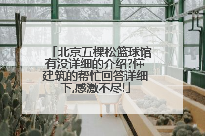 北京五棵松篮球馆有没详细的介绍?懂建筑的帮忙回答详细下,感激不尽!