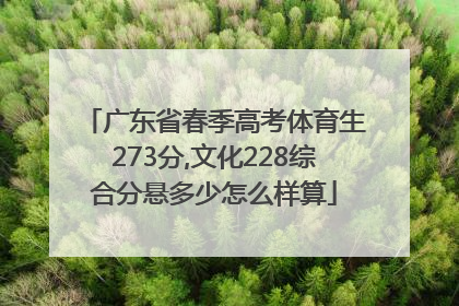 广东省春季高考体育生273分,文化228综合分悬多少怎么样算
