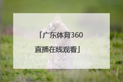 「广东体育360直播在线观看」广东体育360高清直播在线观看