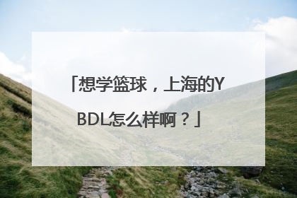 想学篮球，上海的YBDL怎么样啊？