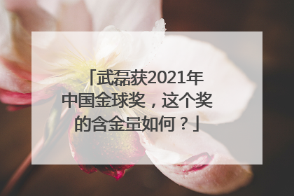 武磊获2021年中国金球奖，这个奖的含金量如何？