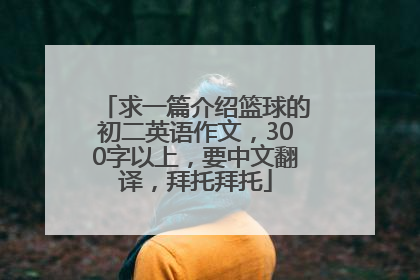 求一篇介绍篮球的初二英语作文，300字以上，要中文翻译，拜托拜托