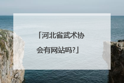 河北省武术协会有网站吗?