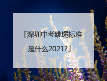 深圳中考跳绳标准是什么2021?