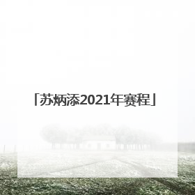 苏炳添2021年赛程