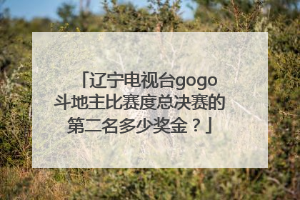 辽宁电视台gogo斗地主比赛度总决赛的第二名多少奖金？