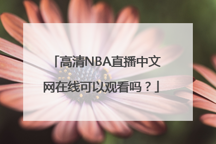 高清NBA直播中文网在线可以观看吗？