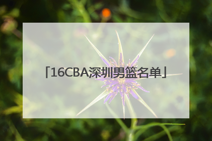 16CBA深圳男篮名单