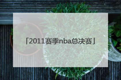 「2011赛季nba总决赛」2010至2011赛季nba总决赛
