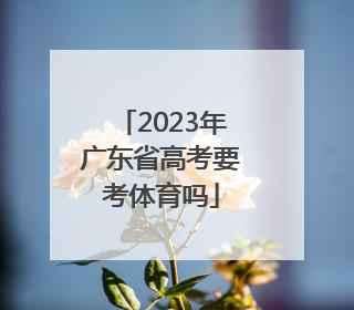 「2023年广东省高考要考体育吗」2023年广东省高考考哪份卷