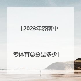 2023年济南中考体育总分是多少
