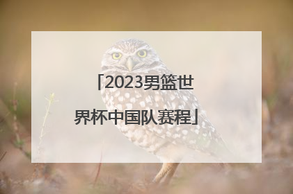 2023男篮世界杯中国队赛程