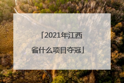 2021年江西省什么项目夺冠