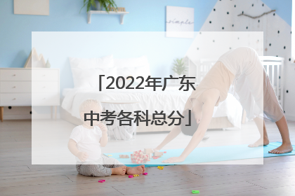 2022年广东中考各科总分