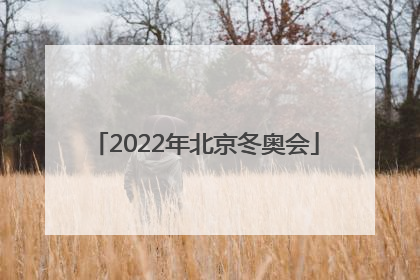 「2022年北京冬奥会」2022年北京冬奥会和冬残奥会吉祥物