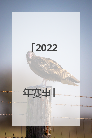 「2022年赛事」上海马拉松2022年赛事
