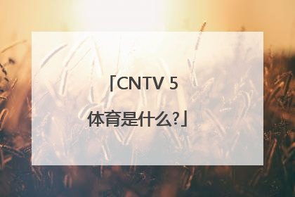 CNTV 5 体育是什么?