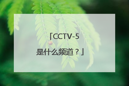 CCTV-5是什么频道？