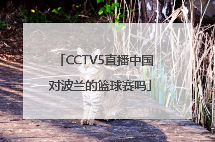 CCTV5直播中国对波兰的篮球赛吗