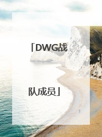 「DWG战队成员」dwg战队成员2022