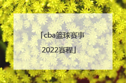 「cba篮球赛事2022赛程」2022年辽宁CBA赛程回放