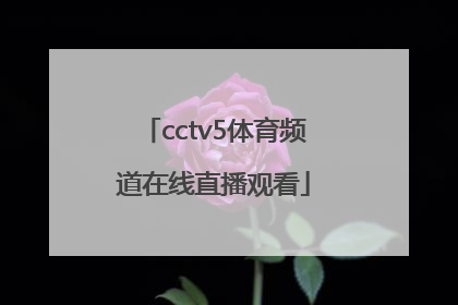 「cctv5体育频道在线直播观看」体育频道直播cctv5在线直播观看女排联赛
