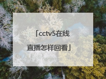 cctv5在线直播怎样回看