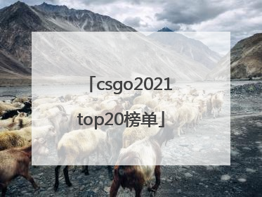 csgo2021top20榜单