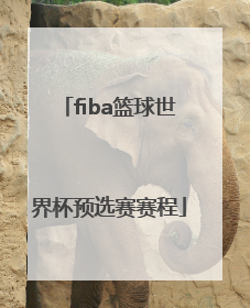 「fiba篮球世界杯预选赛赛程」fiba世界杯预选赛中国赛程