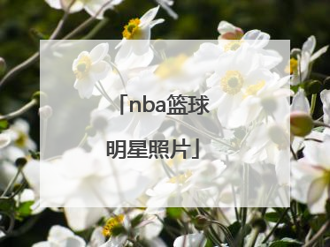 「nba篮球明星照片」nba篮球明星照片大全