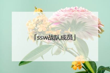 「ssw战队成员」ssw战队成员介绍