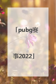 「pubg赛事2022」pubg赛事2021秋季赛