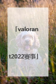 「valorant2022赛事」valorant2022冠军赛